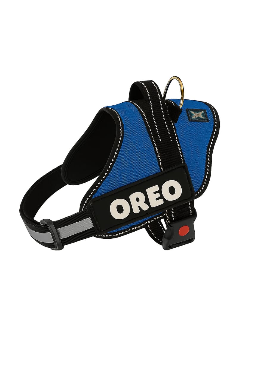 Personalized Dog Harness