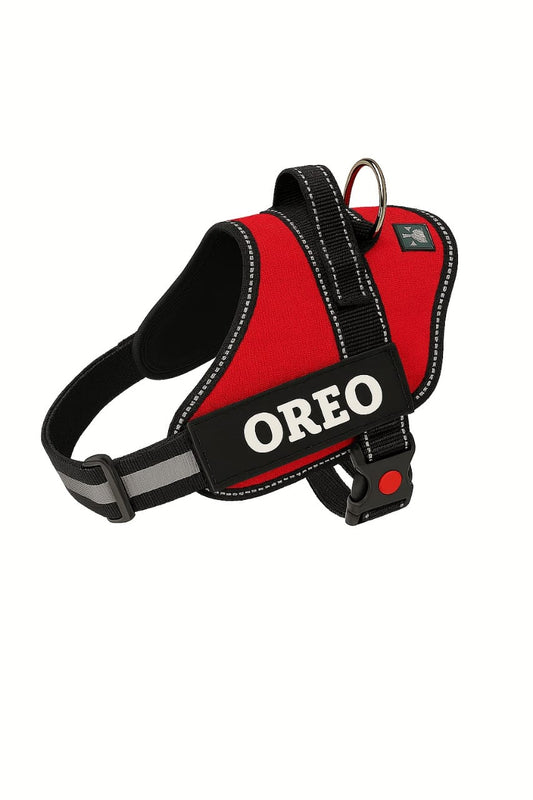 Personalized Dog Harness