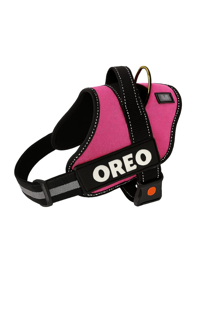 Personalized Dog Harness