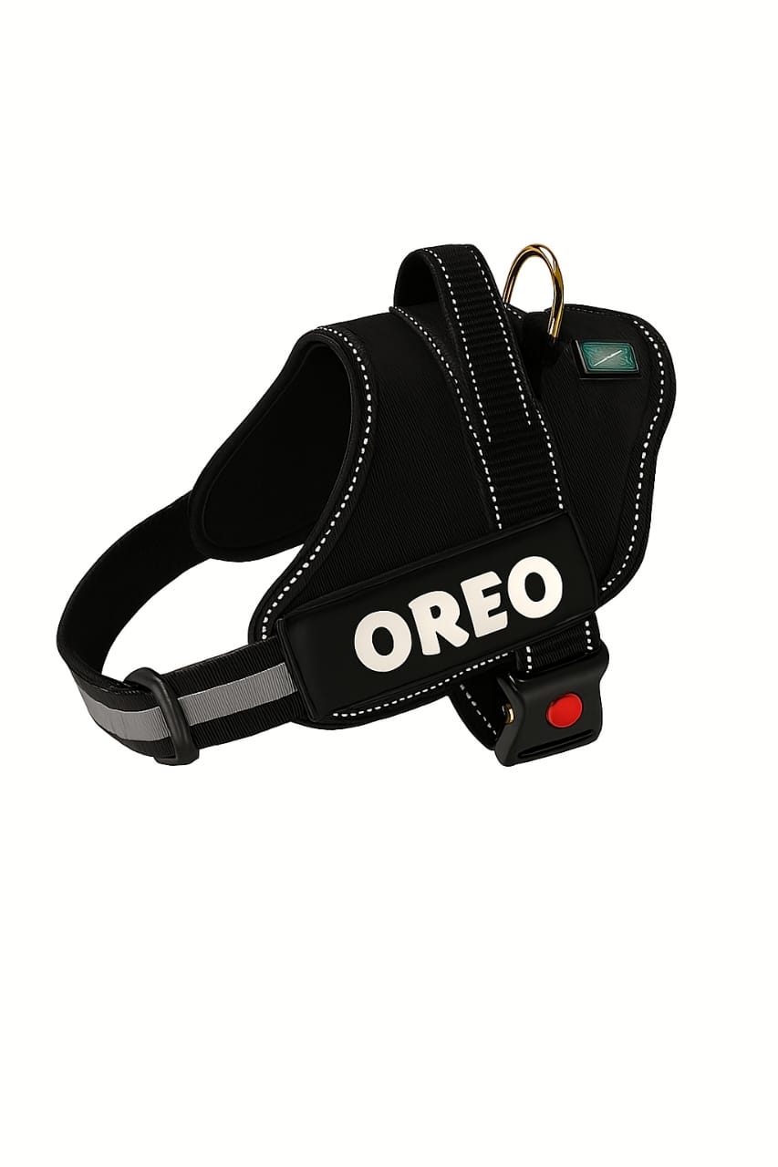 Personalized Dog Harness