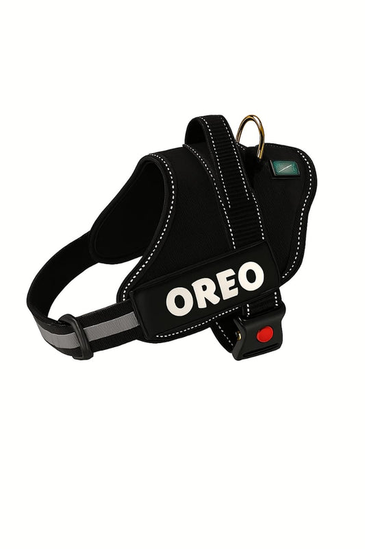 Personalized Dog Harness
